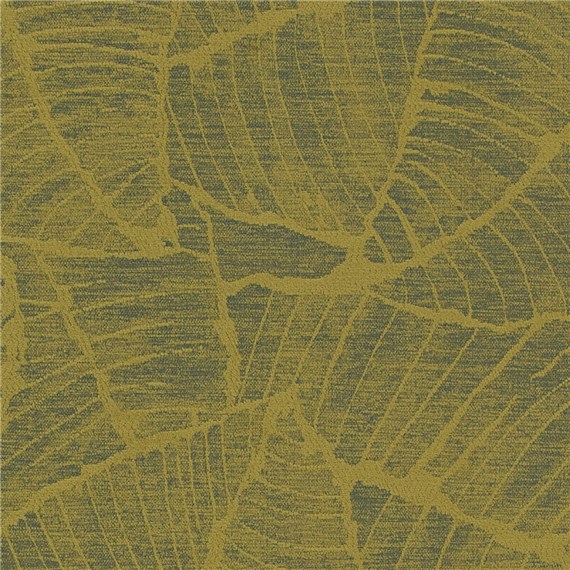 Purebotanica_Oasis