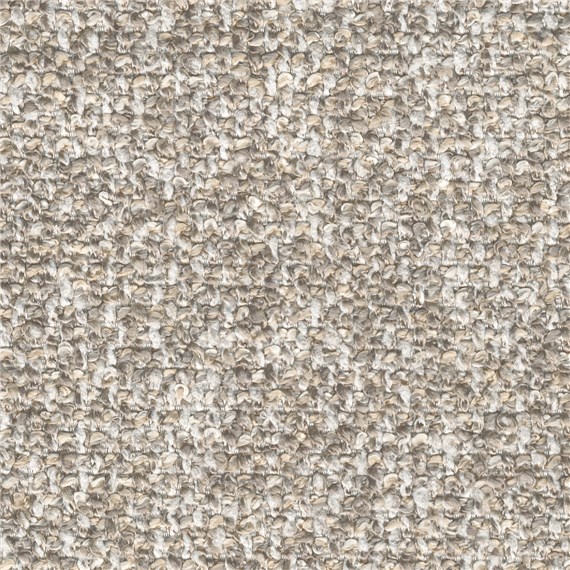 Purecurlicue_Canvas