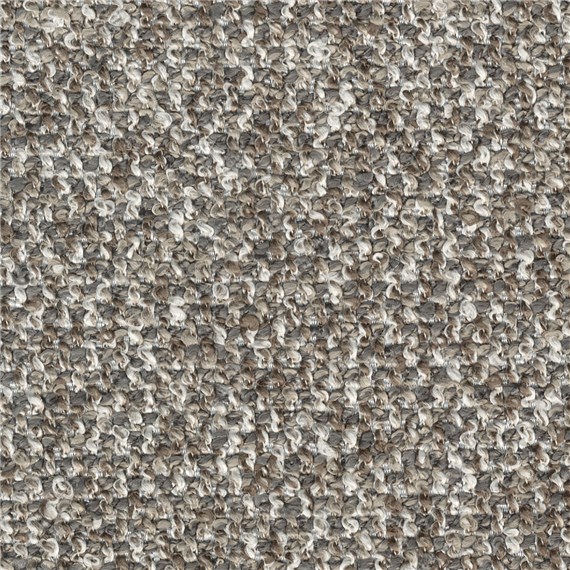 Purecurlicue_Fossil