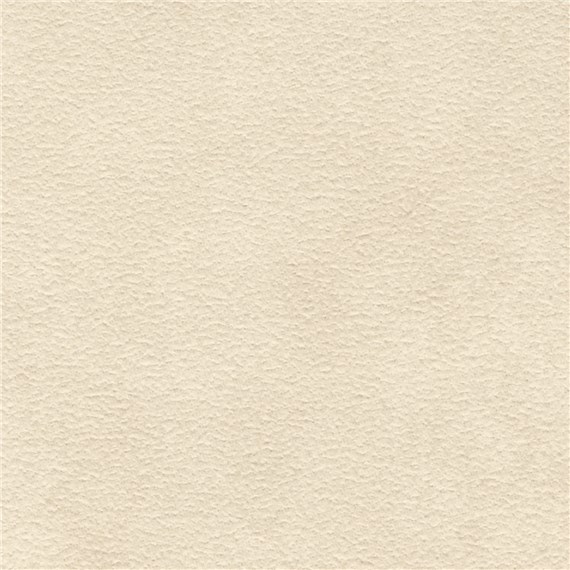 Purenubuck_Birch