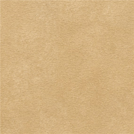 Purenubuck_Chamois