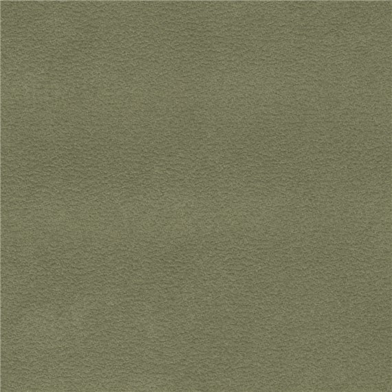 Purenubuck_Evergreen