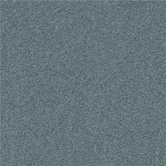 Reel_Alpaca_Blue