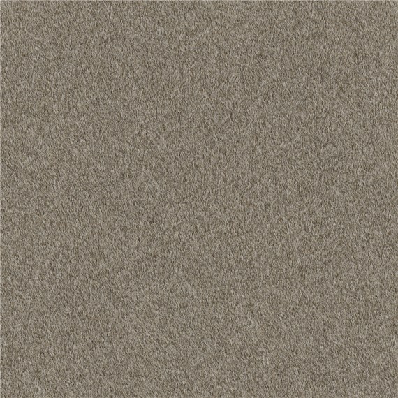 Reel_Alpaca_Brown