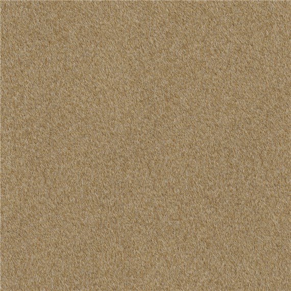 Reel_Alpaca_Camel