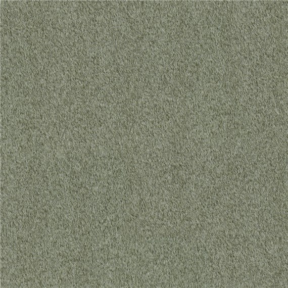 Reel_Alpaca_Green
