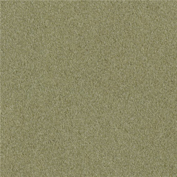 Reel_Alpaca_Herb