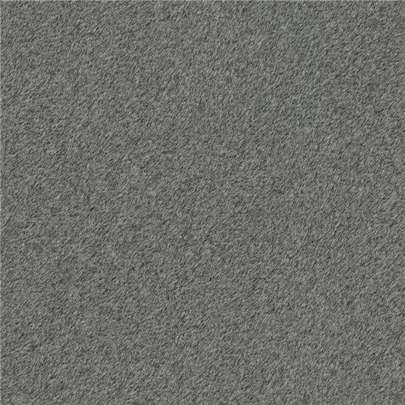 Reel_Alpaca_Slate