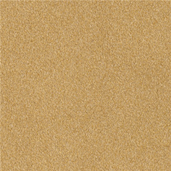 Reel_Alpaca_Yellow