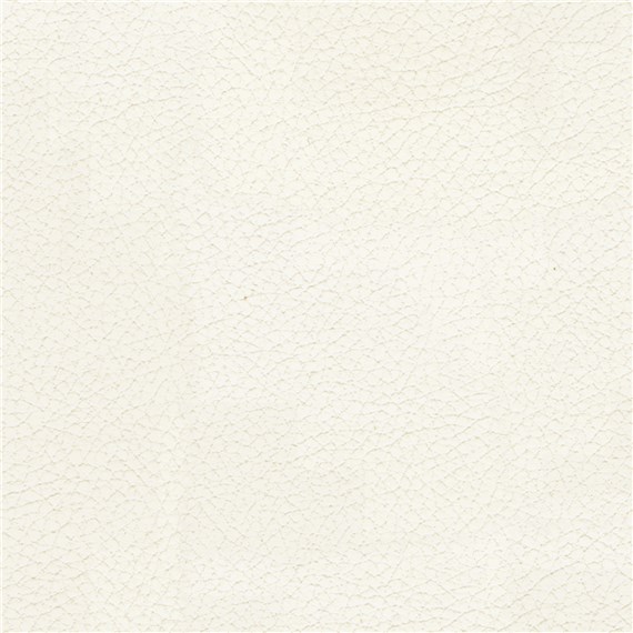 Reel_Leather_Vanilla