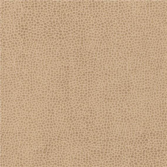 Rugged_Dune