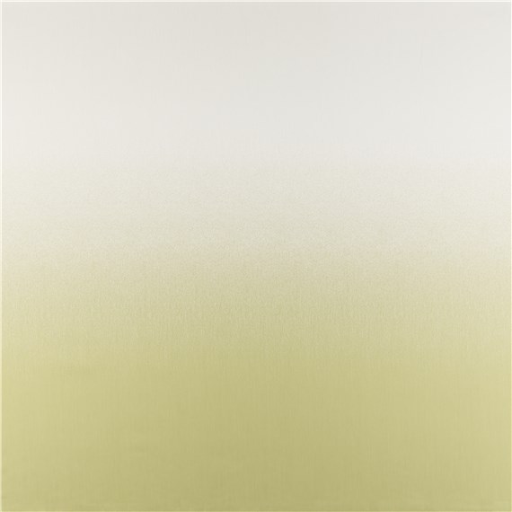 Rx_1008_Restorative