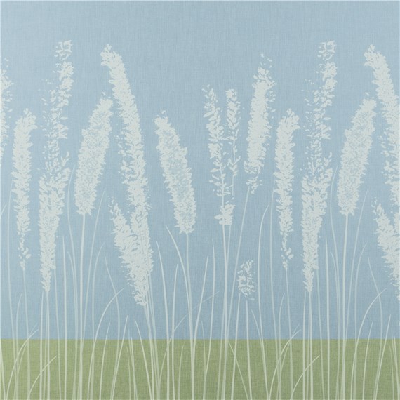 Rx_4001_Cornflower