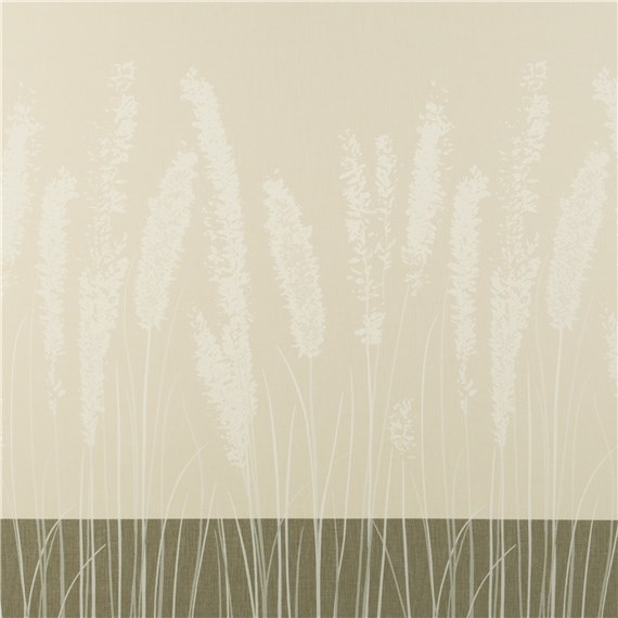 Rx_4001_Natural