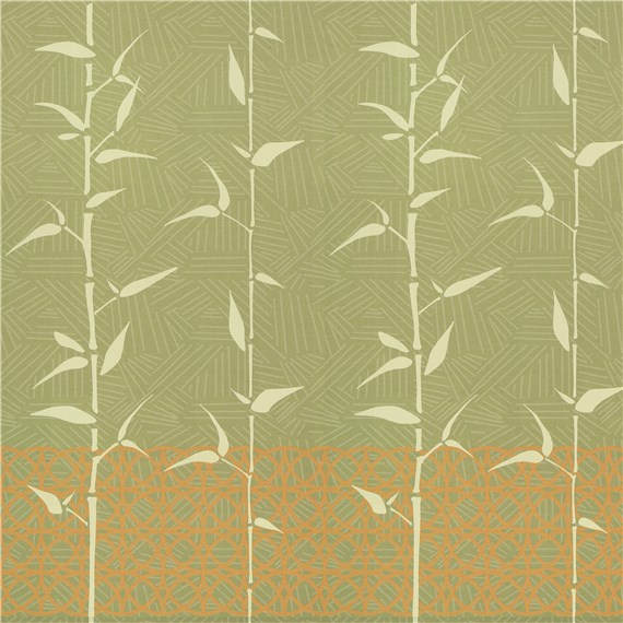 Rx_6002_Bamboo