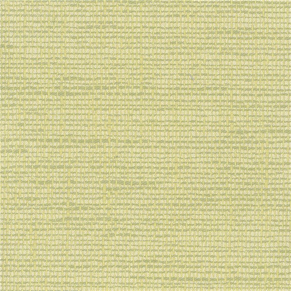 Rx_8004_Lemongrass