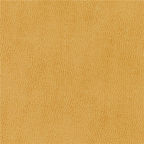 Ryder_Mustard