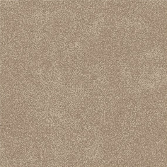 Sandwashed_Calpurina
