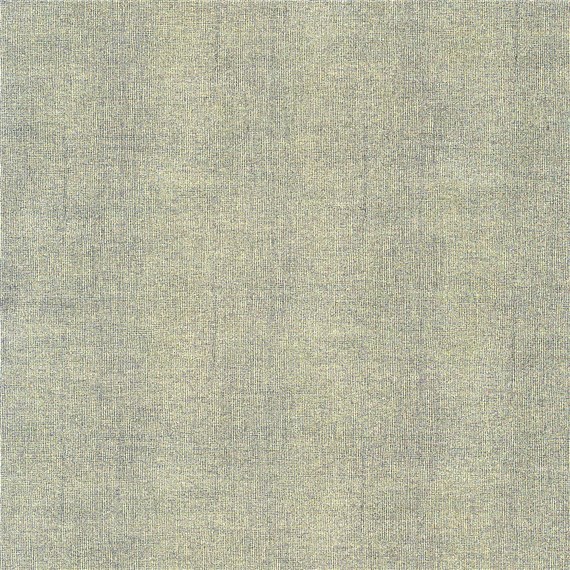 Sharkskin_Shortfin