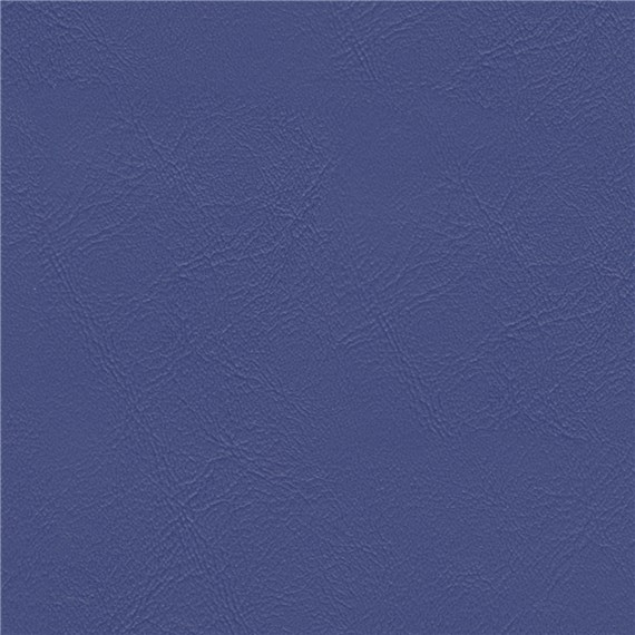 Sightsee_Cornflower