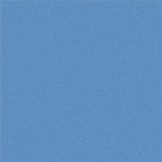 Sightsee_Sea_Holly