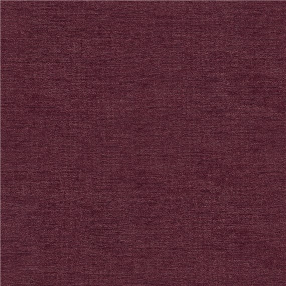 Skipper_Plum