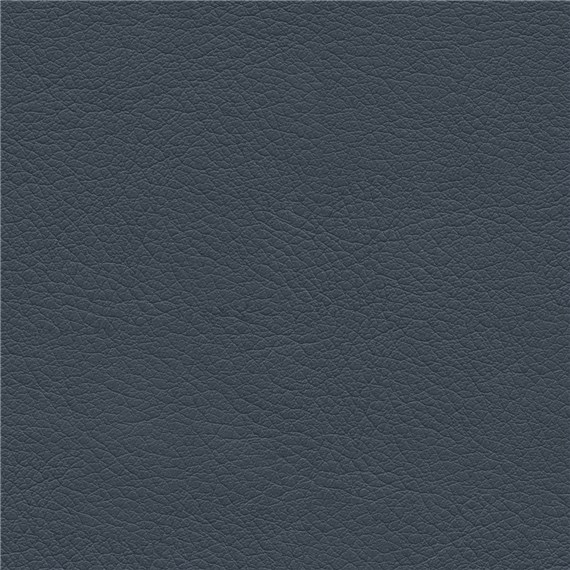 Stagecoach_Lux_Blue