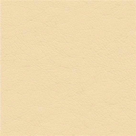 Stagecoach_Nice_Beige