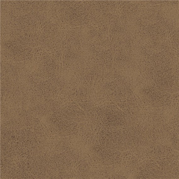 Steed_Mudslide