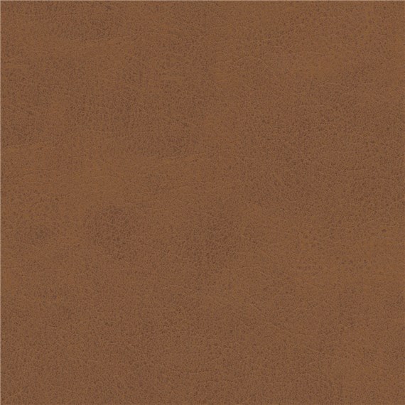 Steed_Saratoga