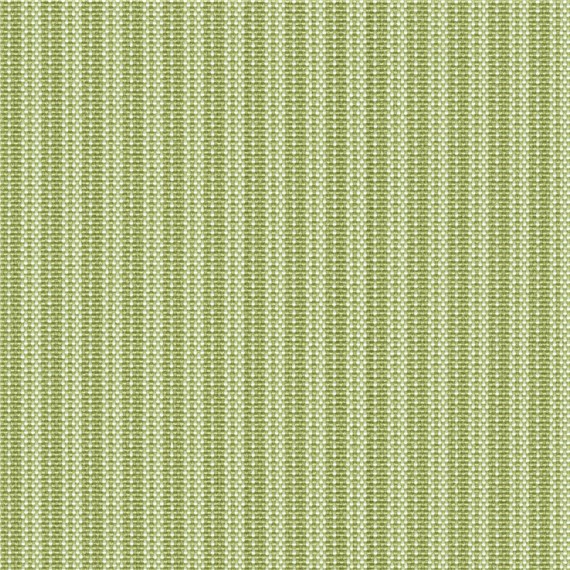 Sunfair_Celery