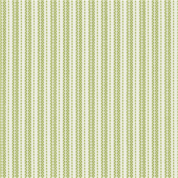 Sunfair_Fennel