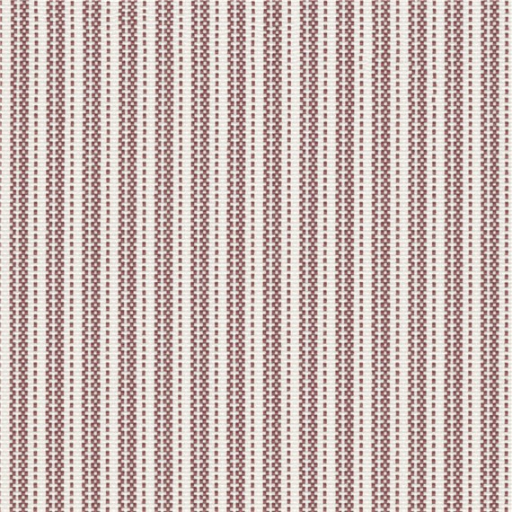Sunfair_Sumac