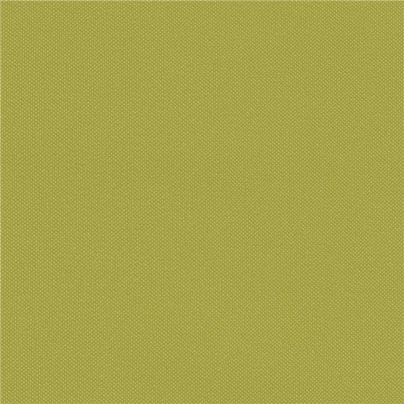 Tailor_Made_Avocado