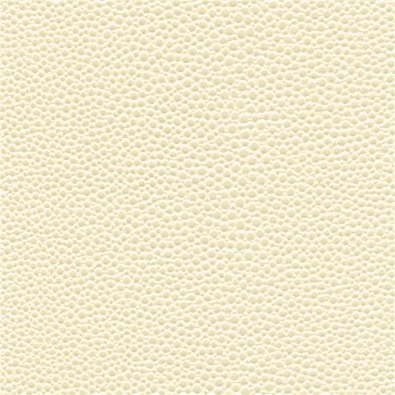 Tampa_Bay_Eggshell