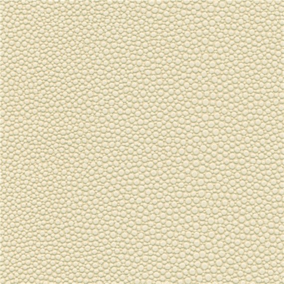 Tampa_Bay_Linen
