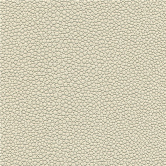 Tampa_Bay_Oatmeal
