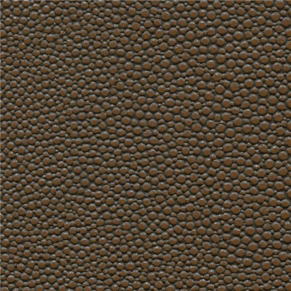 Tampa_Bay_Sumatra
