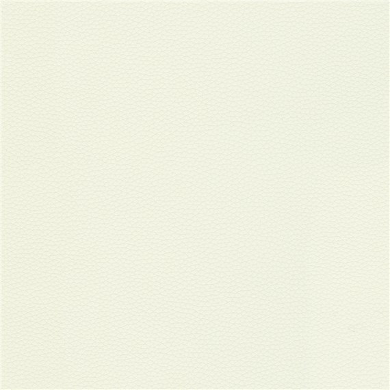 Telfair_Dove