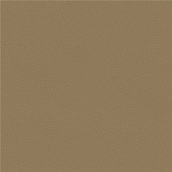 Telfair_Elm