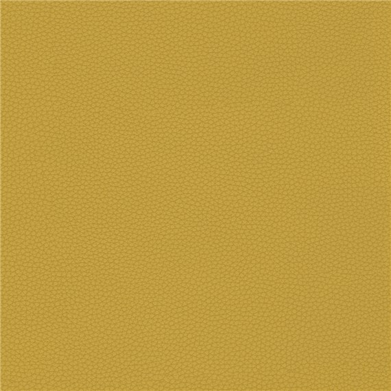 Telfair_Goldenrod