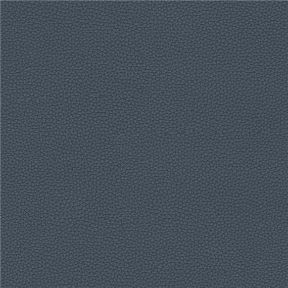 Telfair_Navy