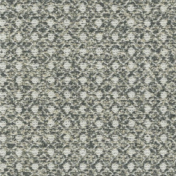 Telluride_Shale