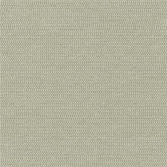 Thoreau_Fog