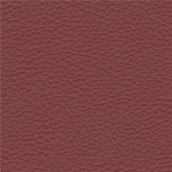 Thoroughbred_Claret
