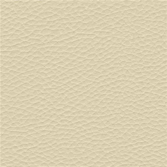 Thoroughbred_Ivory