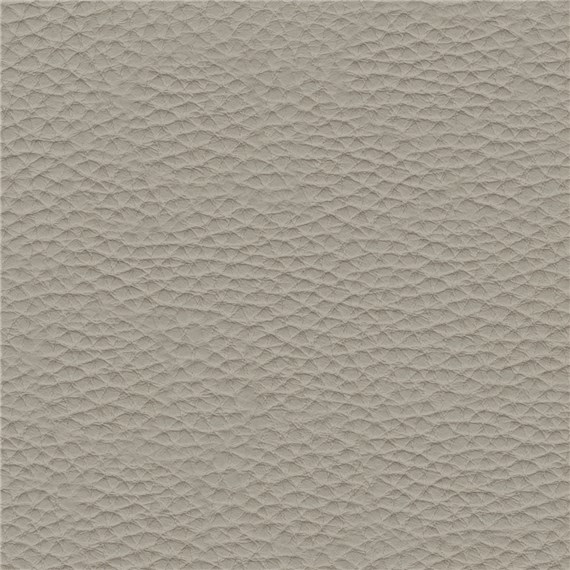 Thoroughbred_Pebble