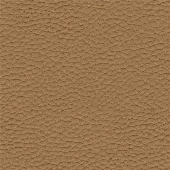Thoroughbred_Saddle