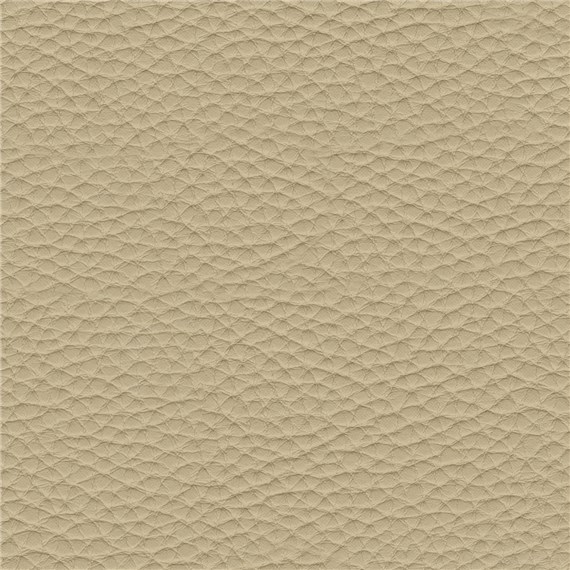 Thoroughbred_Vellum