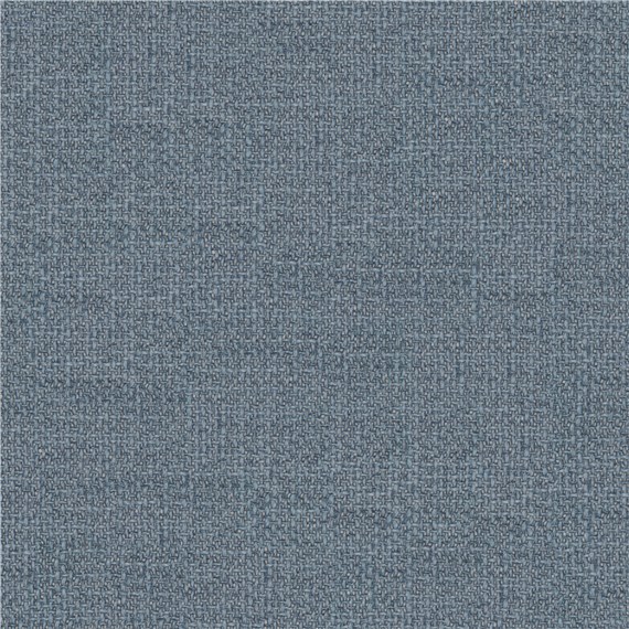 Transparent_Denim